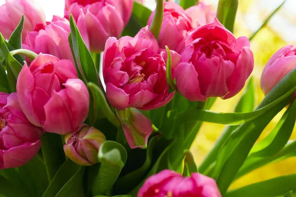 Bouquet Flowers Pink Tulips Blue Sky — Stock Photo, Image