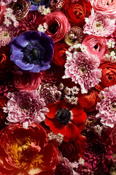 Primavera Flor Flores Fundo — Fotografia de Stock