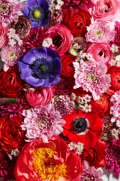 Primavera Flor Flores Fundo — Fotografia de Stock