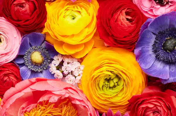 Bahar Çiçeği Çiçek Arka Plan — Stok fotoğraf