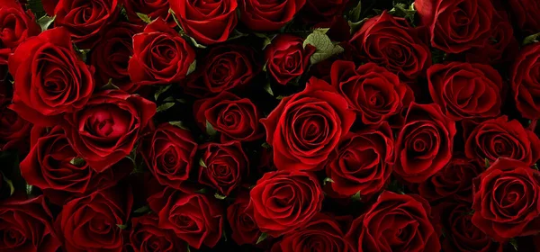 Κόκκινα Τριαντάφυλλα Υφή Φόντου — Φωτογραφία Αρχείου