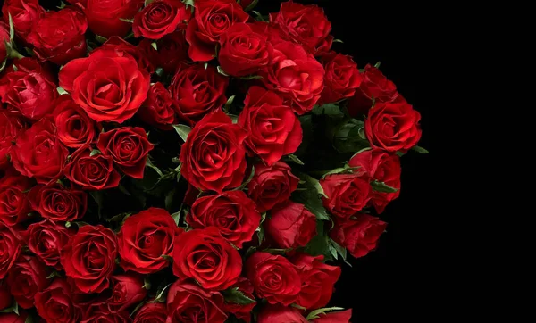 Background Red Roses Flowers — Stock Photo, Image