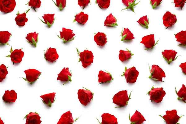Red roses flower heads isolated on white background
