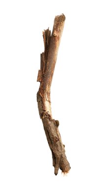 Broken wooden stick isolated on white background