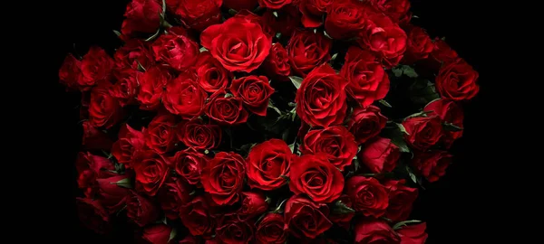 红玫瑰花的背景 — 图库照片