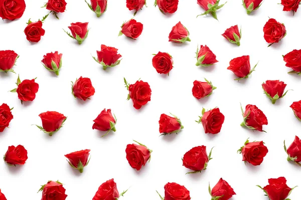 Κόκκινα Τριαντάφυλλα Μπουμπούκια Υφή Απομονώνονται Λευκό Φόντο — Φωτογραφία Αρχείου