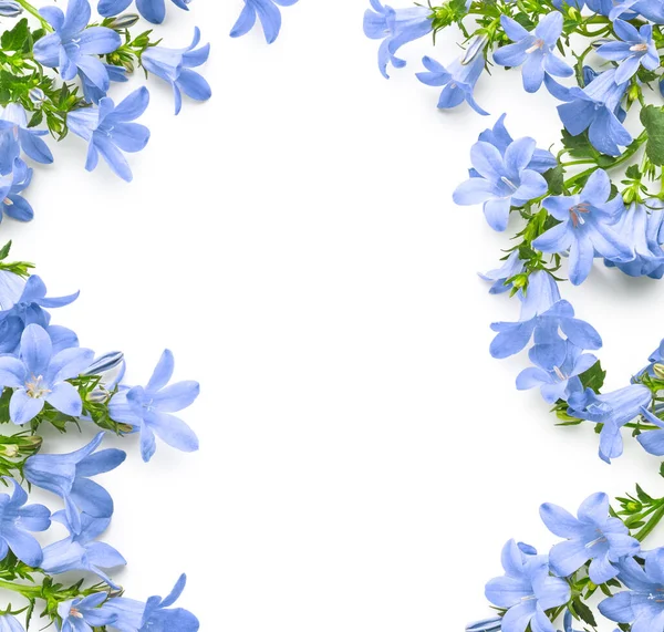 Frame of blue flowers isolated on white background. Invitation greeting card