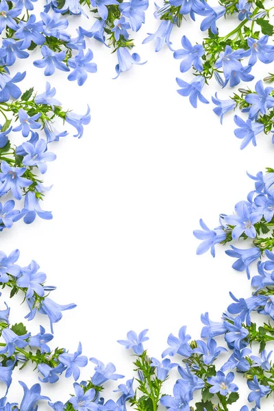 Frame of blue flowers isolated on white background. Invitation greeting card