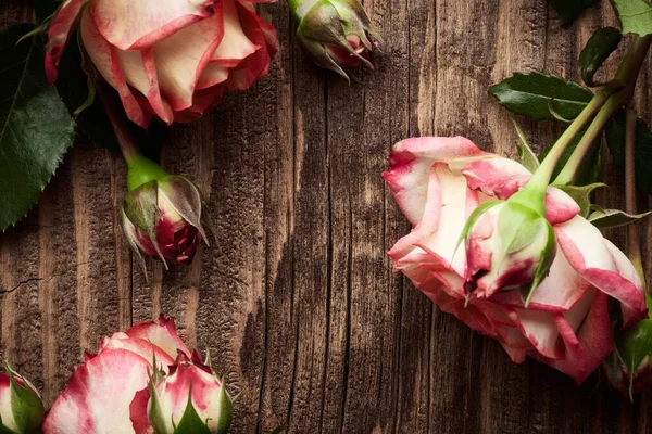 Kilka Kwiatów Róż Zabytkowych Drewnianych Deskach Tle — Zdjęcie stockowe