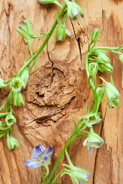 Fleurs Sur Fond Bois Vintage — Photo