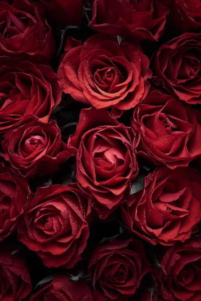 Hintergrund Der Roten Rosen Blumen — Stockfoto