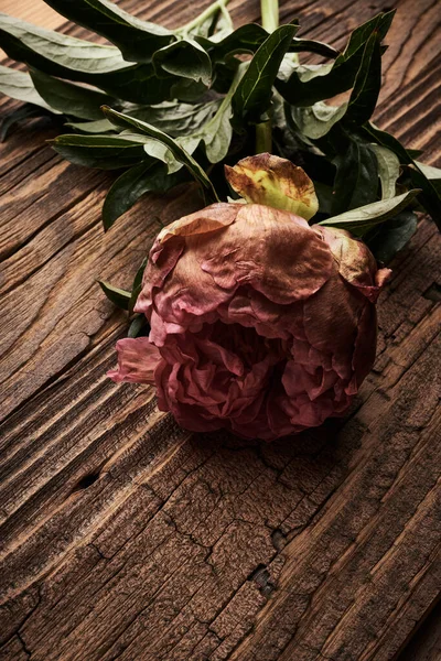 Bazsarózsa Virág Egy Deszka Háttér — Stock Fotó