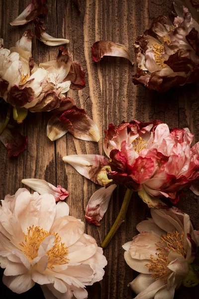 ヴィンテージの木の板の上に乾いた牡丹のいくつかの花を背景に — ストック写真
