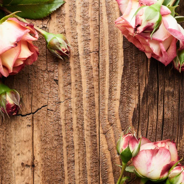 Bunga Mawar Pada Latar Belakang Papan Kayu Yang Sudah Tua — Stok Foto