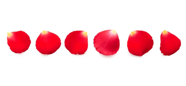 Κόκκινα Ροδοπέταλα Που Απομονώνονται Λευκό Φόντο — Φωτογραφία Αρχείου