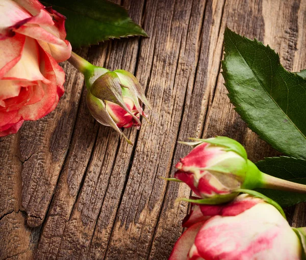 Unas Flores Rosas Sobre Fondo Tablones Madera Vintage —  Fotos de Stock