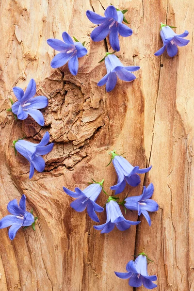 Ročník Venkovské Zátiší Pozadí Modrou Zahradou Květiny Dřevěném Povrchu — Stock fotografie