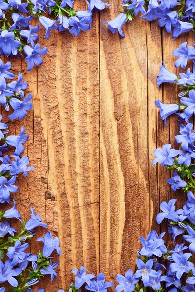 Verão Ainda Vida Fundo Com Flores Jardim Azul Uma Superfície — Fotografia de Stock