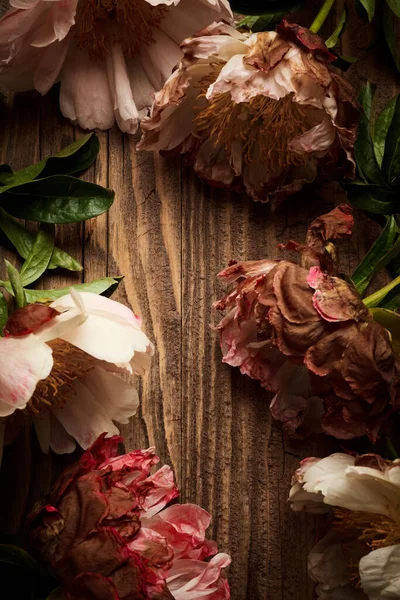 Secco Fiore Peonia Sfondo Legno Invecchiato — Foto Stock