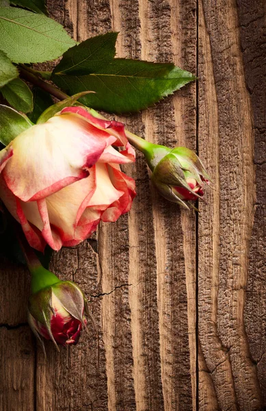 Flores Rosas Sobre Tablones Madera Envejecida Telón Fondo —  Fotos de Stock
