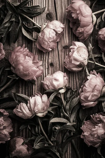 Peony Flower Aged Wooden Background — Stock Photo, Image