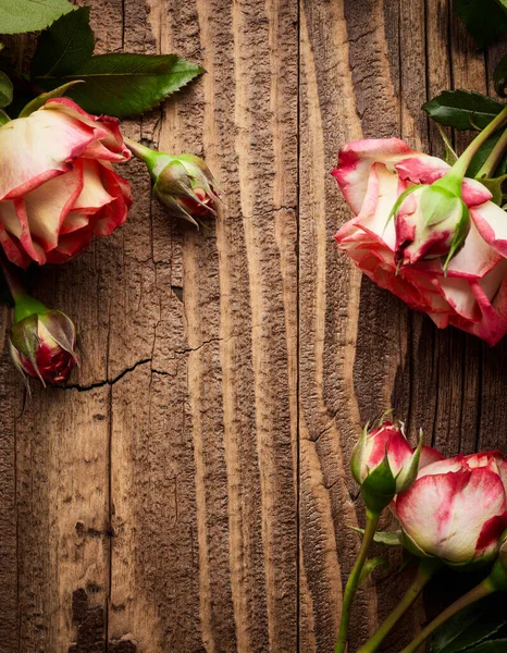 Roses Sur Fond Planches Bois Vintage — Photo