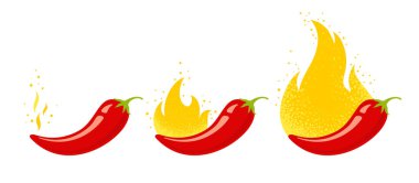 Hafif, orta ve acı biber. Vektör amblemi jalapeno ya da kırmızı biber. Tayland ya da Meksika yemeği için acı biber.