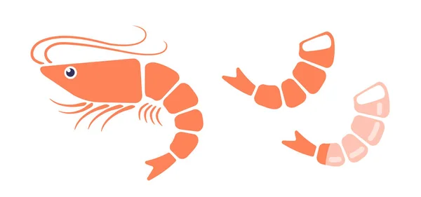 Vector Set Icons Shrimp Vector Illustration Shrimps Flat Style — Stock Vector