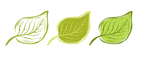 葉のベクトルヴィンテージセットアイコン ドアスタイルの白い背景に葉のベクトルイラスト グリーンエコ製品 — ストックベクタ