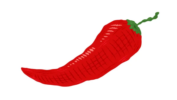 Vector Illustration Chilli Pepper Vector Icon Red Chili Pepper Vintage Stock Illustration