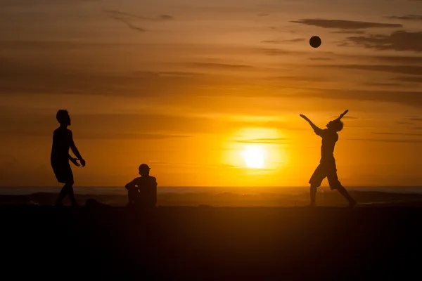 Famiglia che gioca a beach volley Immagine Stock