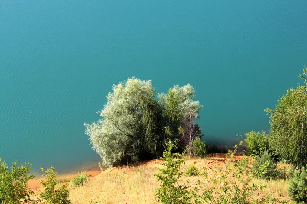 Árvore sobre o lago — Fotografia de Stock