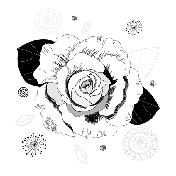 Schets van rozen — Stockvector
