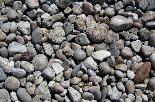 不同的卵石διαφορετικές βότσαλα — 图库照片