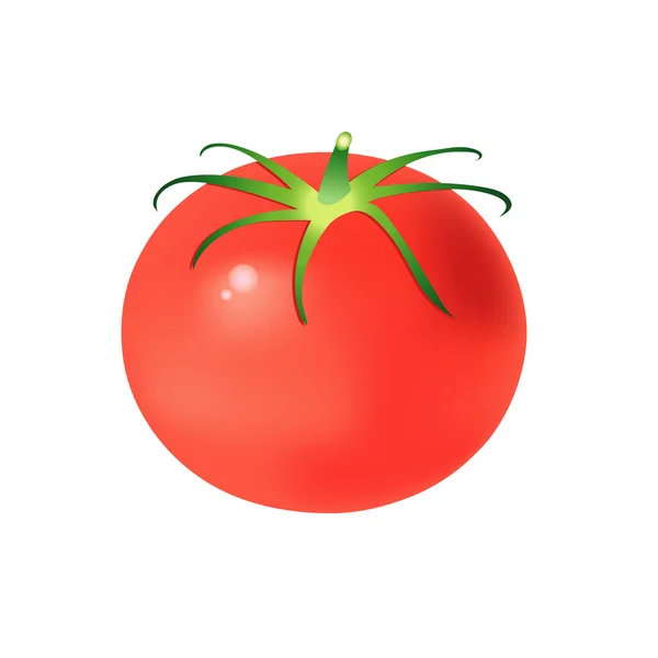 Tasty tomato — Stock Vector