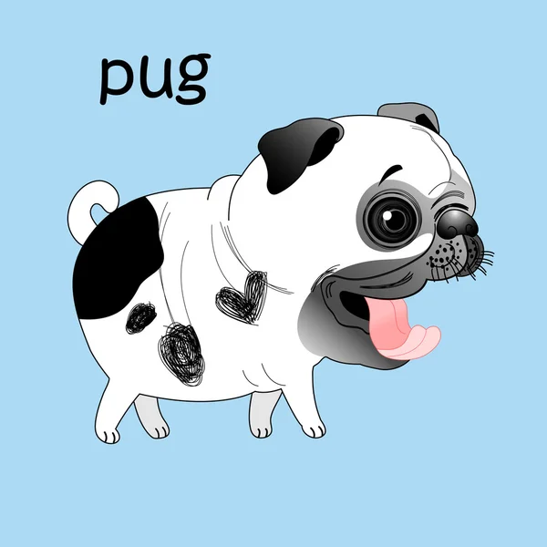Funny pug — Stock Vector
