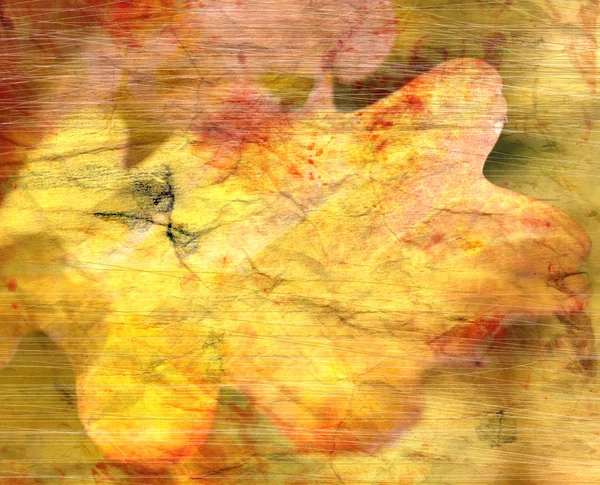 Distressed background with oak leaf — Stock Photo, Image