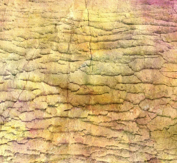 Aged background with tree bark — Stock Photo, Image