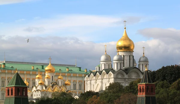 Archangel Cathedral in Moscow — Stock Photo, Image