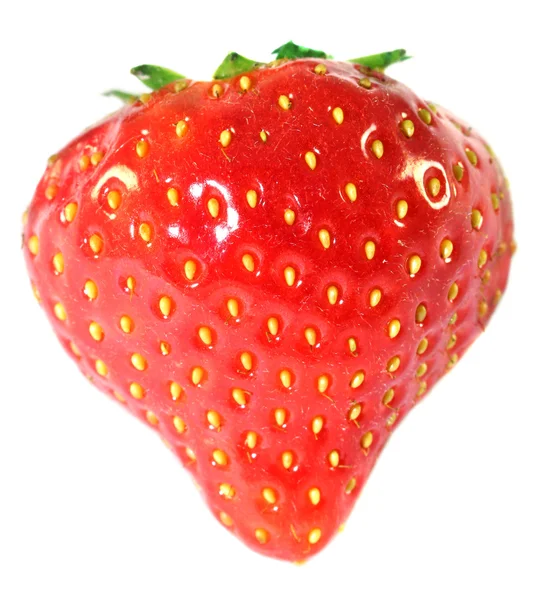 宏草莓 — 图库照片