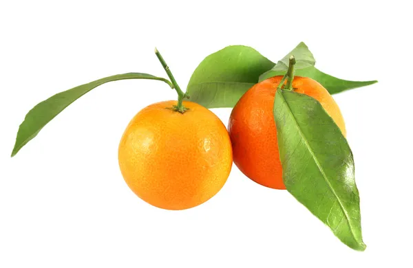 Mandarinas sabrosas brillantes — Foto de Stock