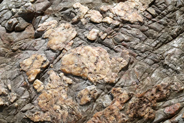 Textura de pedra macro — Fotografia de Stock