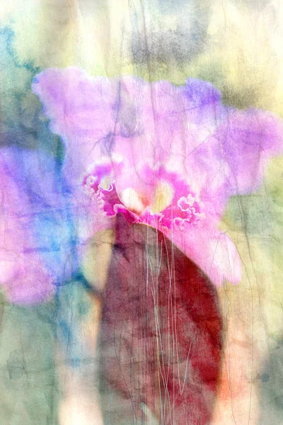 Vintage watercolor orchid flower — Stock Photo, Image