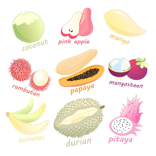 Set of exotic fruits — Stock Vector