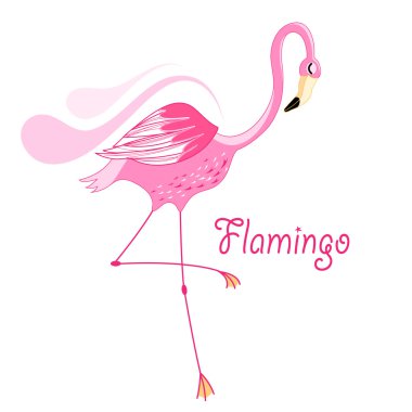pembe flamingo 