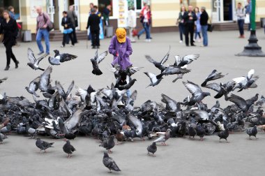 Güvercinler sürüsü 