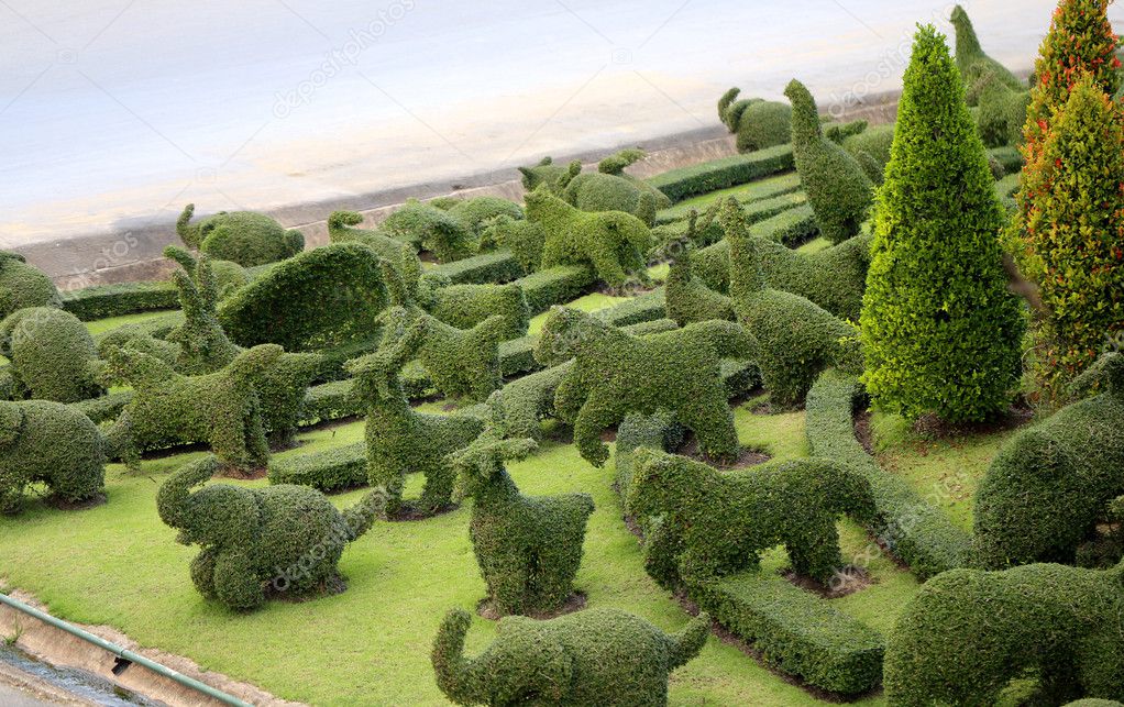 bushes in the form of animals in the park 