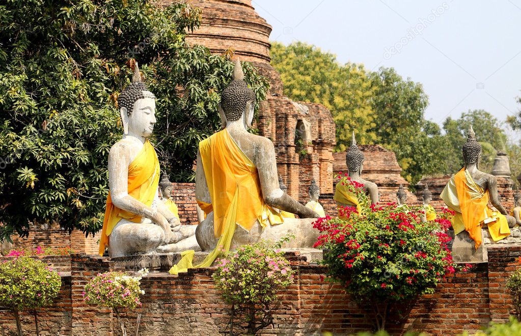 Many statues of Buddhas