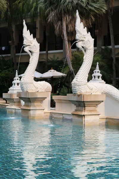 龍とフラグメント プール — ストック写真