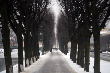 Fotoğraf: Kara ağaçlarla kaplı kış manzarası Bir yolda alışılmadık